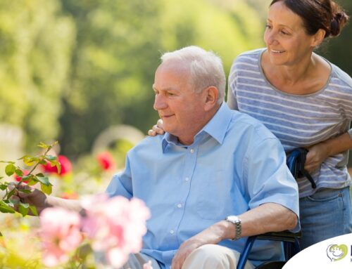 Senior Care Services That Go Beyond the Basics: Discover Our Wellness Program