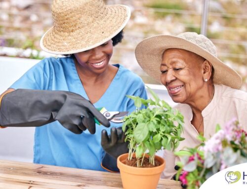 Keeping Seniors Engaged at Home: Creative Companion Care Ideas